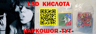 твердый Новозыбков