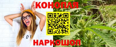 твердый Новозыбков